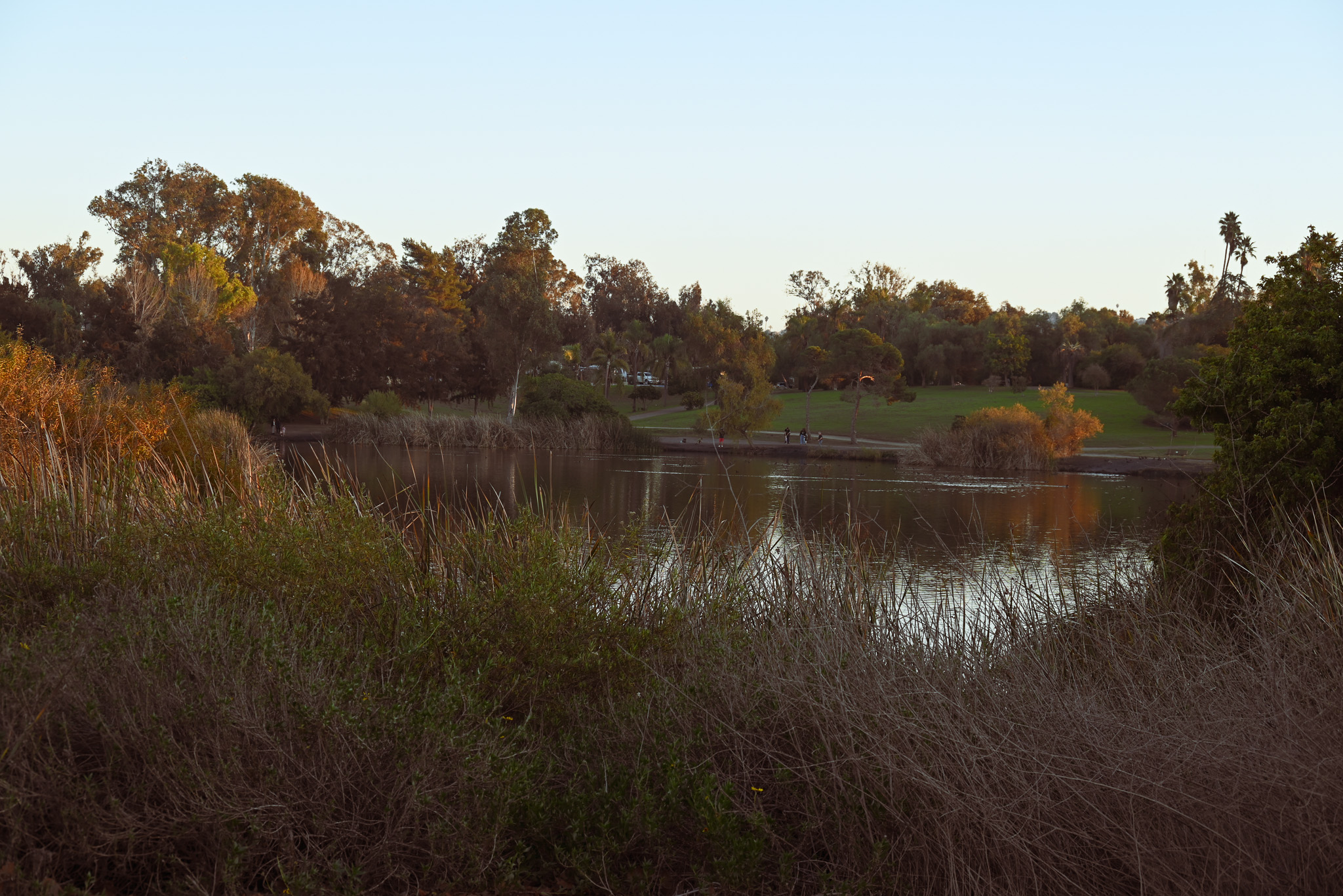 A Call to Protect Our Community